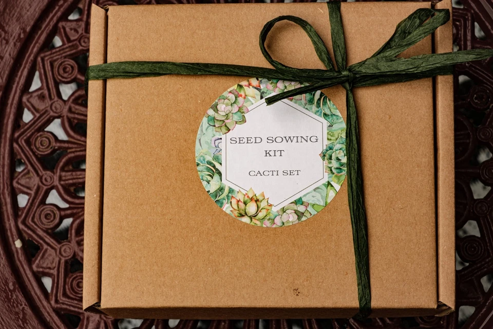 Seed Sowing Kit-Choose from 3 Types-Lithops/Cacti/Succulents- Thoughtful Gift - Image 1 of 4