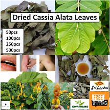 Dried Natural Cassia Alata Leaves 100% Organic Aththora Leaf For Herb Ayuruvedic