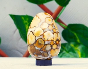 2.36" Yellow Cobra Jasper Stone Crystal Egg - Picture 1 of 11