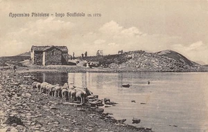 7837) APPENNINO PISTOIESE (REGGIO EMILIA) LAGO SCAFFAIOLO. PECORE. VG NEL 1919. - Imagen 1 de 2