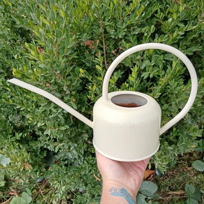 Indoor Watering Can Chalk Colored Metal Galvanized Steel Narrow Spout - Image 1 of 4