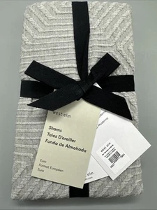 WEST ELM -MODERN GEO -EURO SHAM -NEW WITH TAG - Picture 1 of 5