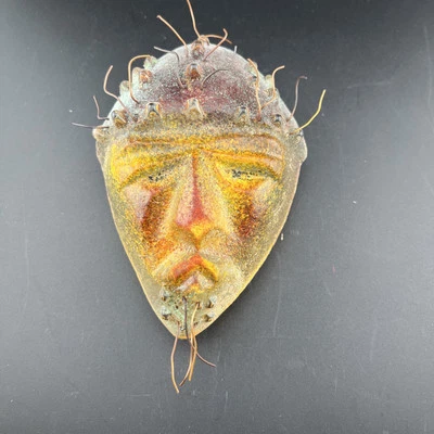 Art Glass Mask - Signed by Diane Ferland - Cassandre Handmade Canada - Colorful - Image 1 of 4