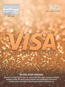 Visa $25 Gift Card (plus $3.95 Purchase Fee) - Picture 1 of 2