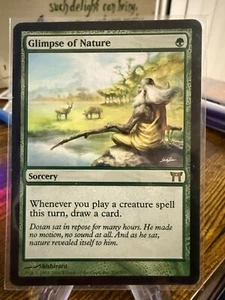Glimpse of Nature Champions of Kamigawa Magic The Gathering Magic The Gathering - Imagen 1 de 2