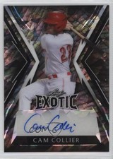 2023 Leaf Exotic Elephant Crystal /5 Cam Collier #BA-CC2 Auto