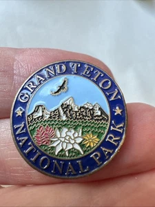 Grand Teton National Park Wyoming Mountain Wildflower Scenic Enamel Lapel Pin - Picture 1 of 5