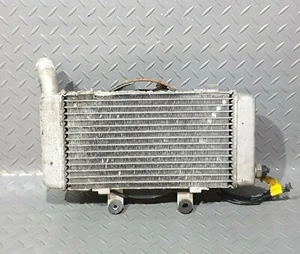 ♻️ Honda CBF 125 2008 - 2015 Radiator with Fan ♻️ - Picture 1 of 14