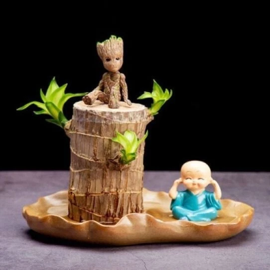 Apricot blossom hydroponic plant, indoor flower desktop pot - Image 1 of 4