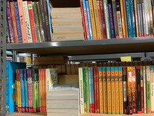 YOU PICK GRADES 3-12 CHAPTER YA TEEN BOOKS @1.99 (D-I) NEWBERY AR BESTSELLERS