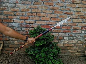Custom Handmade Spear Head Sword D2 Steel Wood Handle Viking Outdoor Camping - Picture 1 of 5