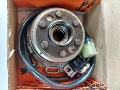 KTM NUEVO ENCENDIDO OEM CPL. 46139002100 65SX 85SX 85XC 105SX 105XC Foto 1 de 2