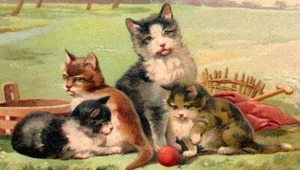 um 1907 Landkatzen, alte Postkarte, Korb, geprägt - Bild 1 von 3