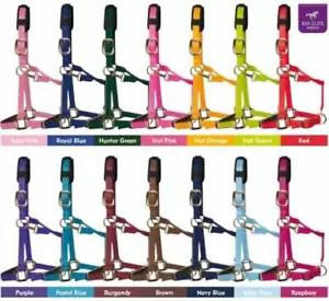 KM ELITE LUXURY HEADCOLLAR - PADDED HEAD COLLAR - VARIOUS COLOURS - Picture 1 of 2