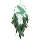Dream of Dinosaurs with Handmade Green Feather Dreamcatcher A Gift for Boys