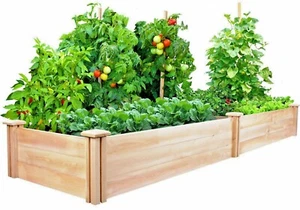 Essential Survival Kit Perfect Vegetable Garden Save Seeds 5 Varieties FREE SHIP - Picture 1 of 12