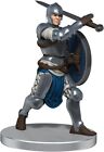 WizKids DD Icons of The Realms Kalaman Military Warband Dungeons and Dragons M