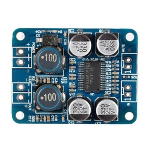 TPA3118 BTL 60W Mono Digital Audio Power Amplifier Board Module DC 12V-24V - Picture 1 of 5