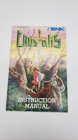 Crystalis Nintendo NES Instruction Manual Only