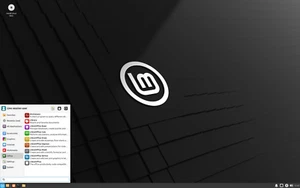 Linux Neuwertig 21.1 ""Vera"" Xfce 64bit Edition Installation DVD Kostenlos UK Post - Bild 1 von 2