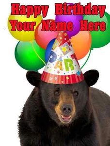 Bear Party Card codebea Birthday A5 Personalised Greeting card - Picture 1 of 1