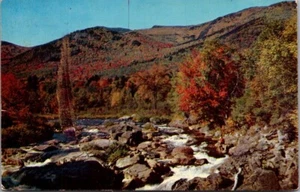 Postal de pesca TROUT PARADISE Dextone Beauty Scene c1954 - Imagen 1 de 2