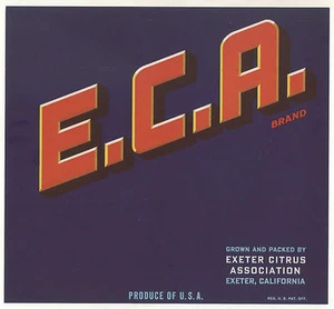 *Original* E.C.A. Exeter Citrus Association orangefarbenes Kistenetikett KEINE KOPIE! - Bild 1 von 1