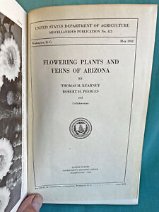 Kwitnące rośliny i paprocie z Arizony oryginał 1942 rządowa edycja drukarska 