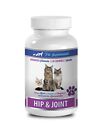 cat joint pain relief - CAT HIP AND JOINT SUPPORT - glucosamine for cats chews