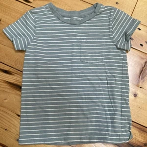 Colored Organics 4T Everest Pocket Tee Stripe Jade White S/S Pullover Organic - Picture 1 of 15