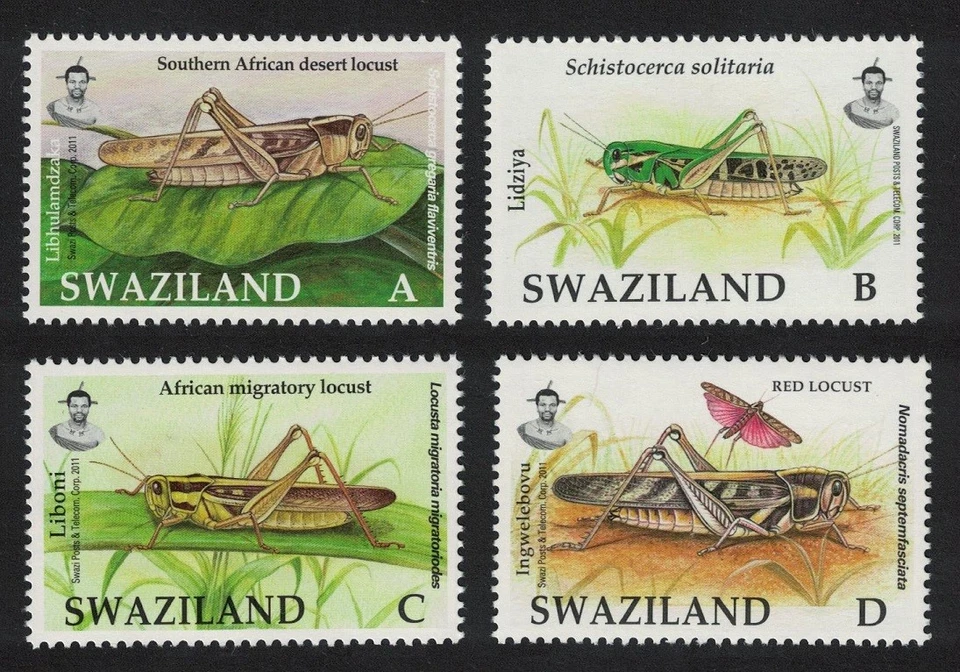 Swaziland Locusts and Grasshoppers Letters 4v 2012 MNH SG#809-812 - Image 1 of 1