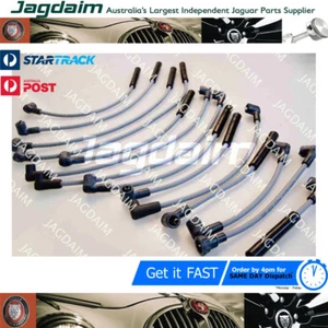 New Jaguar V12 XJS H.T Lead Set (Magnetti Marelli Ignition) JLM11016 - Picture 1 of 2