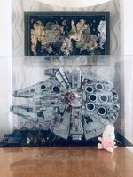 ucs falcon display case