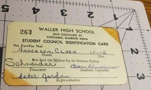Vintage Waller High School Student Council ID Badge - Chicago - Picture 1 of 2