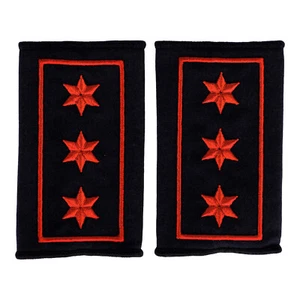 Cordones de hombro 3 estrellas rojo + pelado rojo (FFW Thürigen) voluntario - Imagen 1 de 1
