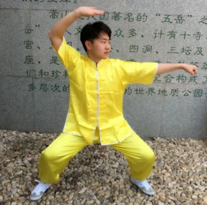 Traje de artes marciales chino de tai chi satinado Kung fu Wushu para niños adultos - Imagen 1 de 20