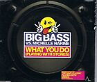 Big Bass Vs Michelle Narine Cd Single: What You Do (Playing With Stones) 2 Mixes