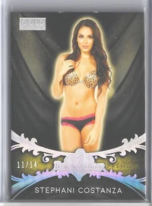 Benchwarmer Gold Premium Base Silver Holo 110 Stephani Costanza 11/14 SKC 2020 - Imagen 1 de 2