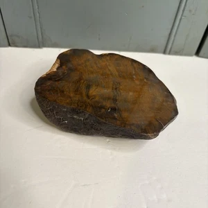 Ancient Petrified Wood Stone Piece Dark Brown Amber Gold - Picture 1 of 8