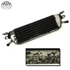 Ölkühler BMW R1100RT (259)