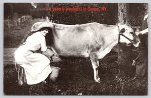Postcard Udderly Wonderful in Carson Nevada Woman Milking Cow Humor - Picture 1 of 2
