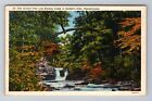 Rickett's Glen PA-Pennsylvania, Arched Tree Over Kitchen Creek Vintage Postcard