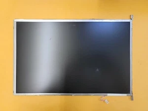 Pantalla Brillante LCD AU Optronics 14.1" Genuina B141EW02 V.1 - ENVÍO RÁPIDO A EE. UU. - Imagen 1 de 3