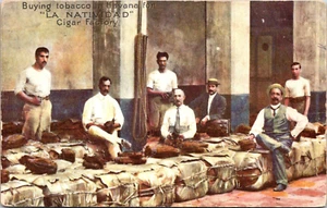 HAVANA, CUBA - MEN BUYING TOBACCO FOR LA NATIVIDAD CIGAR FACTORY - OLD POSTCARD - Bild 1 von 2
