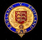 Football Association FA Councillor