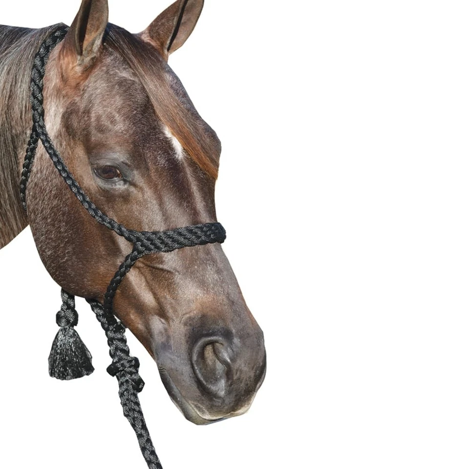 Halter vaquero cuerda trenzada Professional's Choice con plomo - cómodo plano Foto 1 de 1