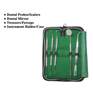 Professional Dental Examination 5pcs Kit (Mirror, Scaler, Plaque Remover) S.S - Picture 1 of 8