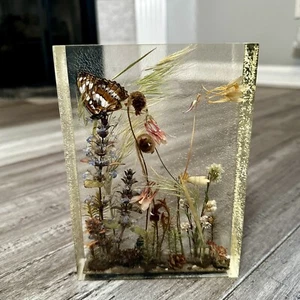 VTG W. Rolfe Acrylic Resin Encased Butterfly & Flowers Vintage Display Decor - Picture 1 of 6