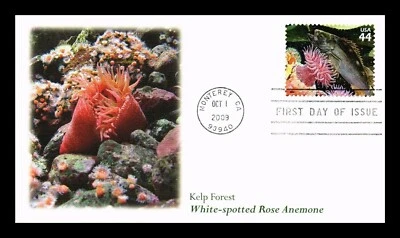 KELP FOREST ANÊMONA ROSA MANCHADA BRANCA 2009 FLEETWOOD CACHET FDC UNADDR - Imagem 1 de 2
