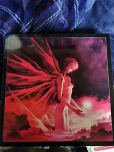Neon Genesis Evangelion Movie The End of Evangelion Laser Discs Box Used Japan - Picture 1 of 10
